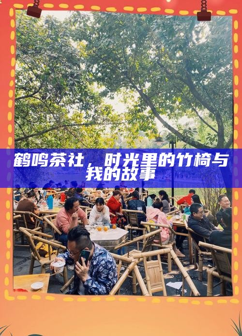鹤鸣茶社,时光里的竹椅与我的故事